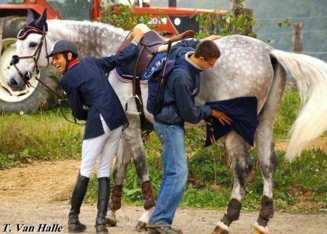Professionele groom gezocht!