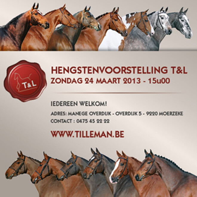 3 BWP-Ambassadeurs aanwezig op hengstenvoorstelling T&L
