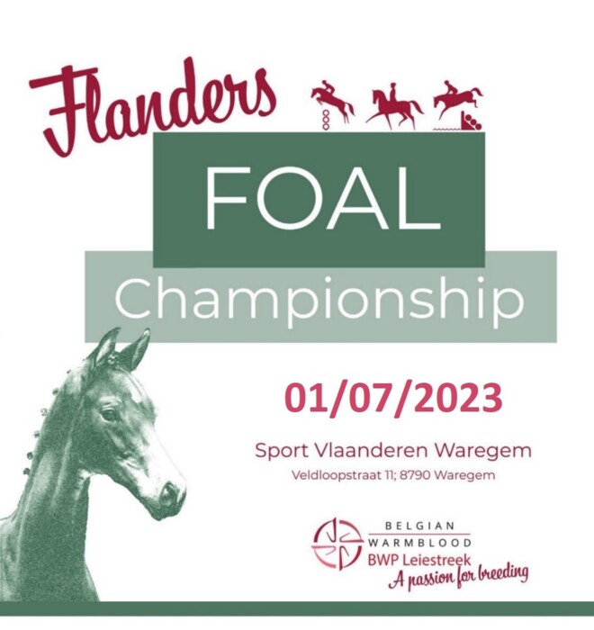 BWP Leiestreek organiseert Flanders Foal Championship 2023