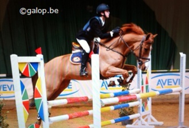 Nationale ponyindoor LRV:   stijspringkampioenen 2013 bekend
