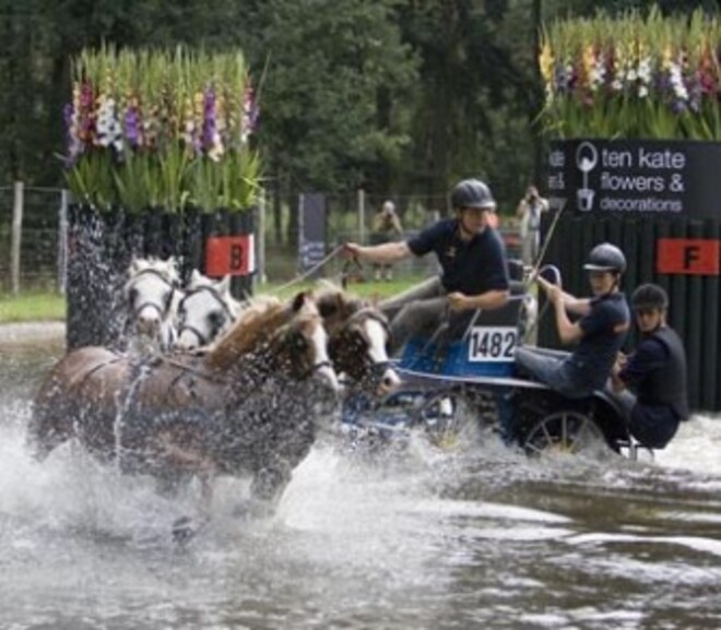 Nationale ponymenners welkom in Beekbergen