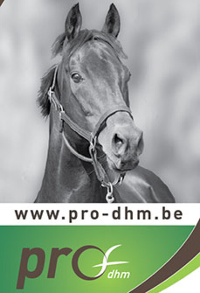WAAROM PRO PLUS van Lannoo Martens-Horsemix VOEDEREN ?