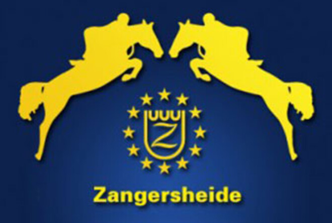 Zestien nieuwe hengsten voor Studbook Zangersheide