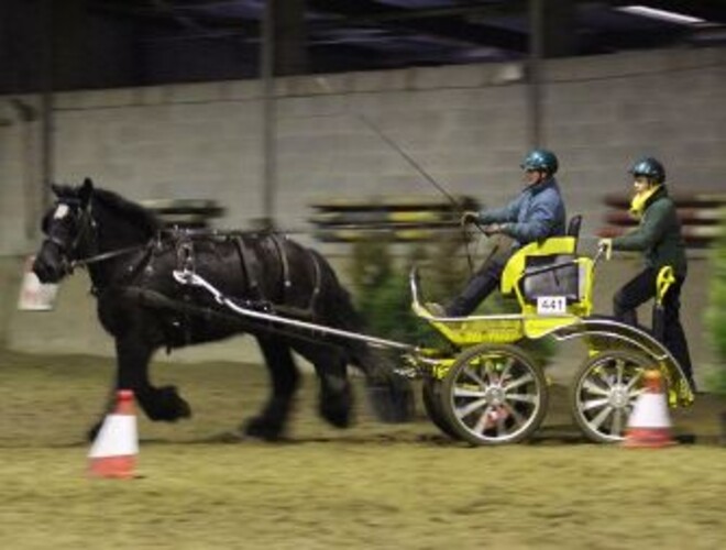 Vliermaalroot, Indoor + startlijst - 17 maart