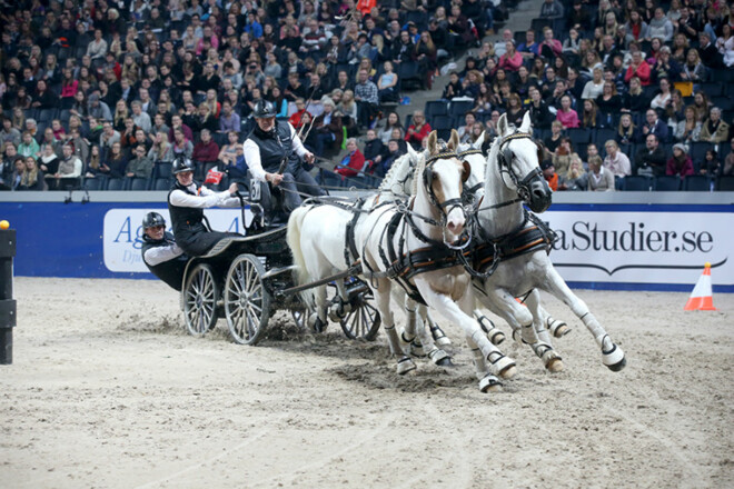 IJsbrand Chardon wint Wereldbeker vierspannen Stockholm