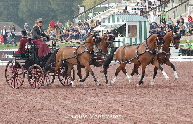 WEG Caen, Chester Weber wint dressuur