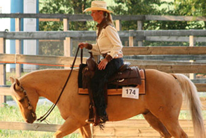Plezier tijdens Flanders Horse Expo