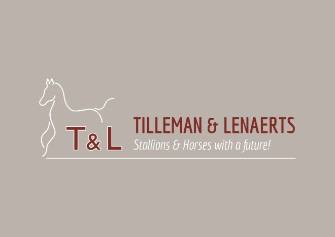 Stal T&L zoekt nieuwe groom