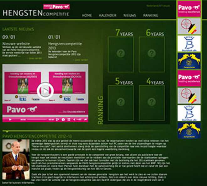 Morgenavond 1ste Mache Pavo Hengstencompetitie
