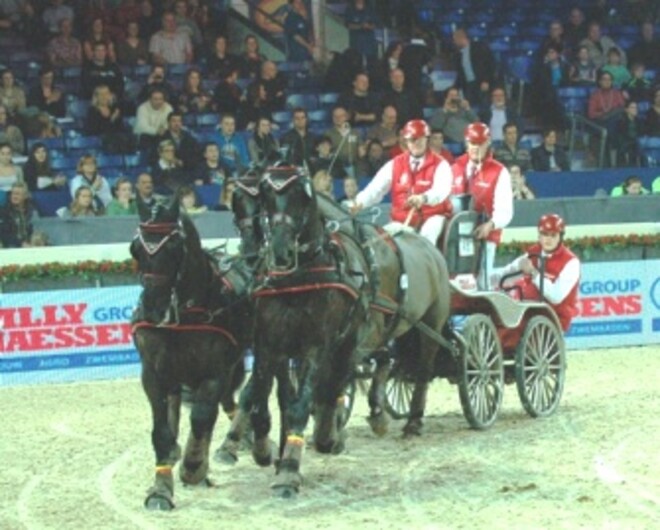 Mennen tijdens Flanders Horse Expo