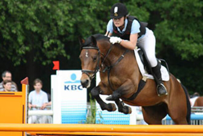 Pony vermist