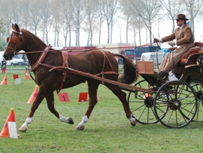 Oudenaarde - infodag opstart mencursus - 4 januari