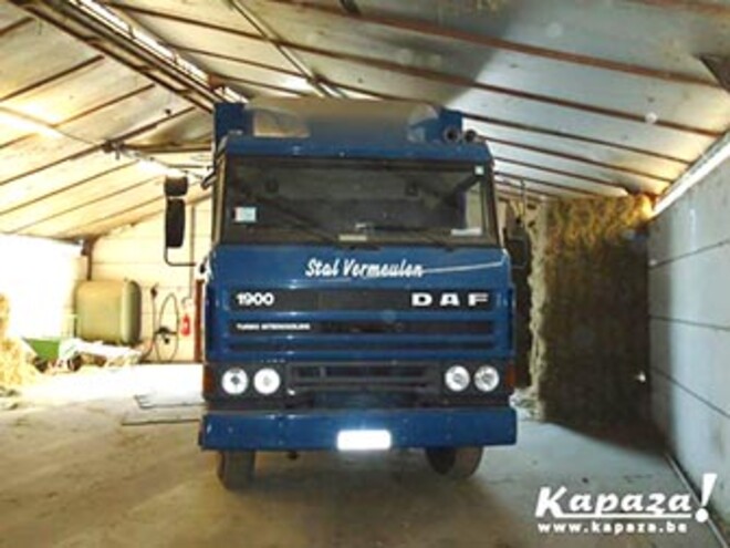 Te Koop paardenvrachtwagen DAF 1900 - VERKOCHT!!