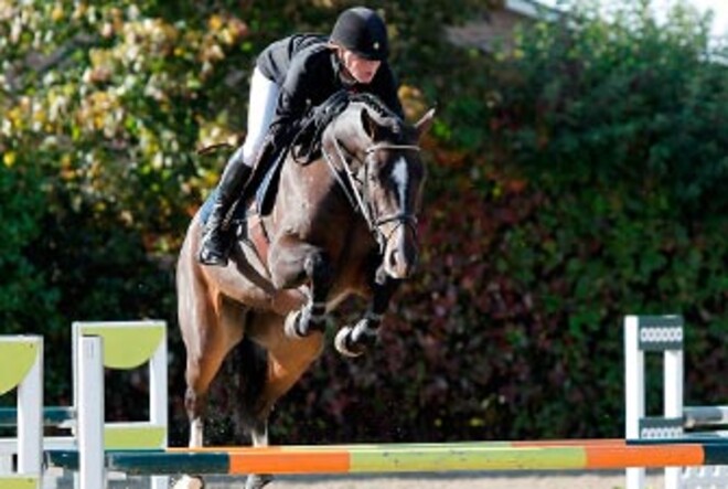 310,000 euro voor Casall nakomeling