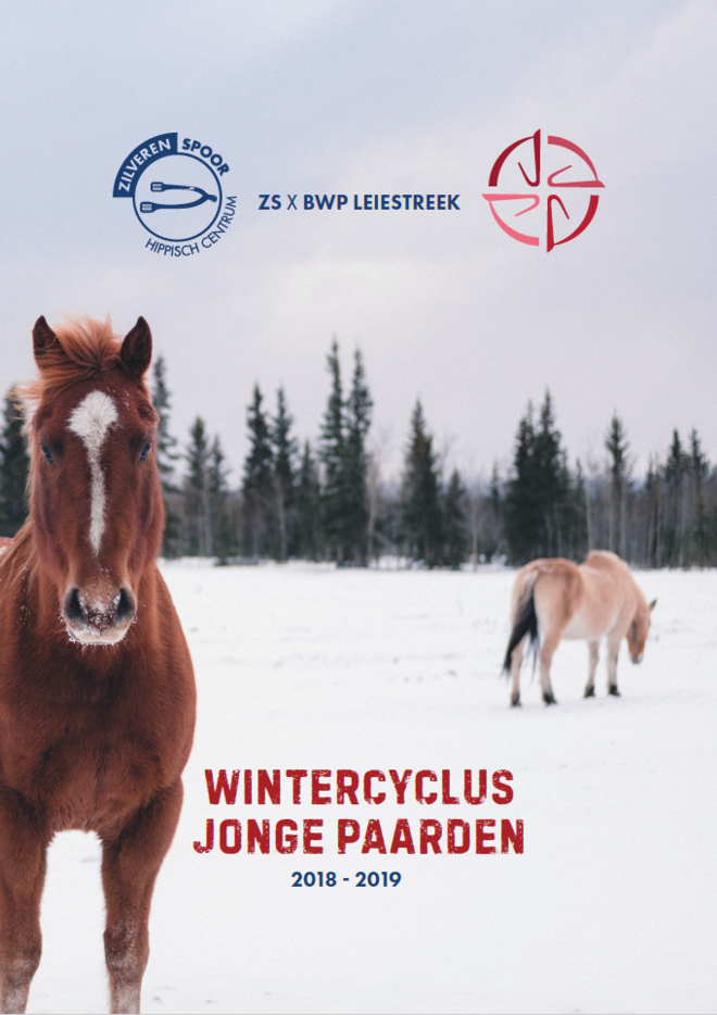 Nieuwe wintercyclus voor jonge paarden