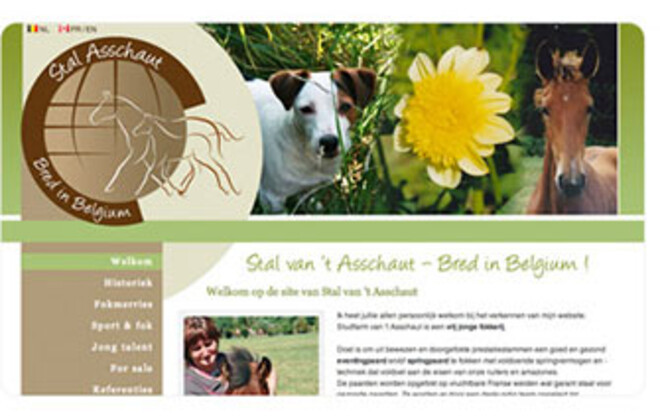 Nieuwe website voor Stal Asschaut