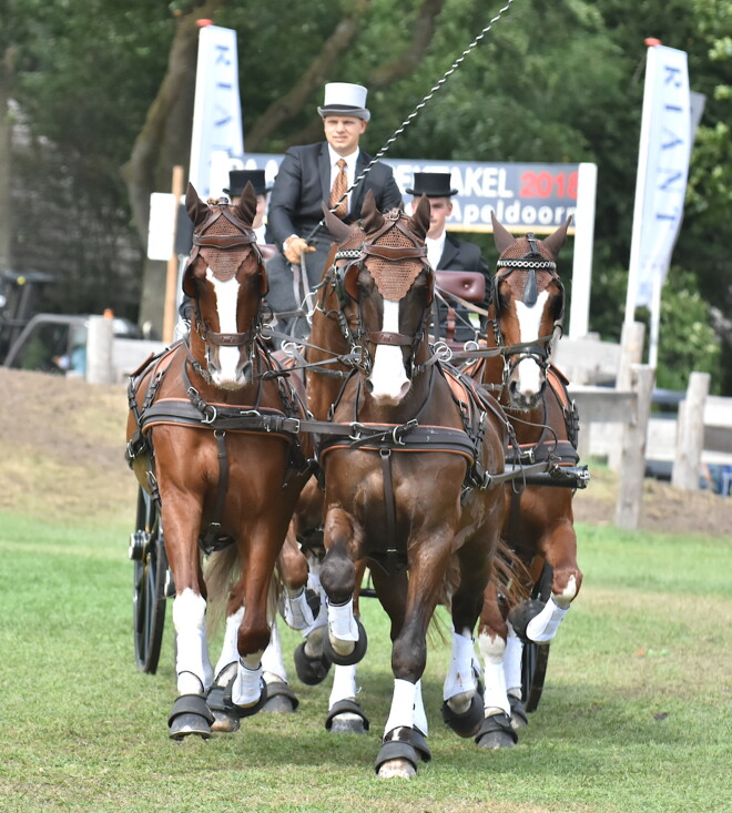 Beekbergen klaar voor Paardenspektakel