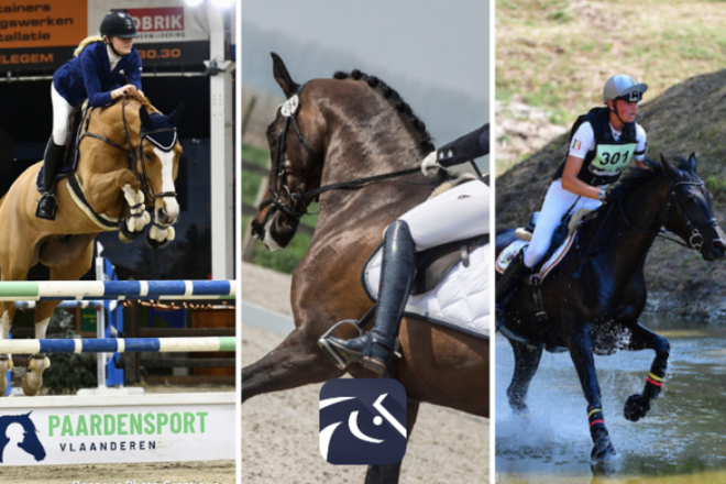 Paardensport Vlaanderen gaat voor Equipe