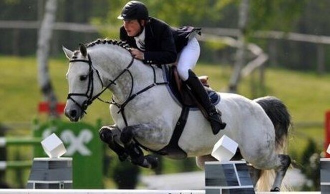 Hengstenshow Stoeterij Breemeersen op 27/3