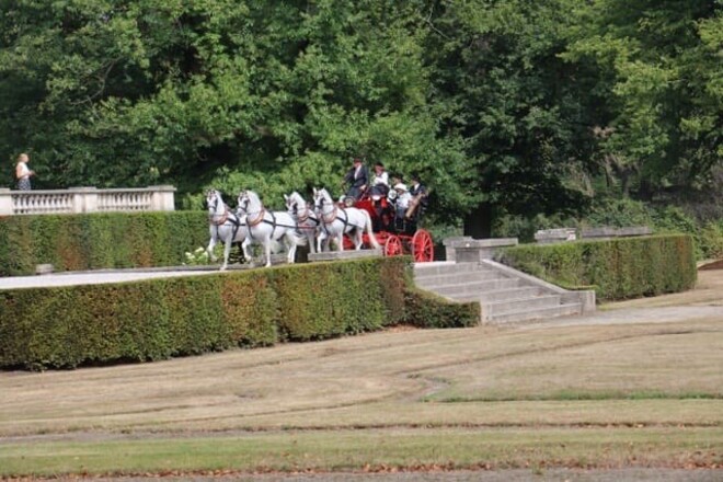 Van Hauwaert grote winnaar lipizzanerkeuring