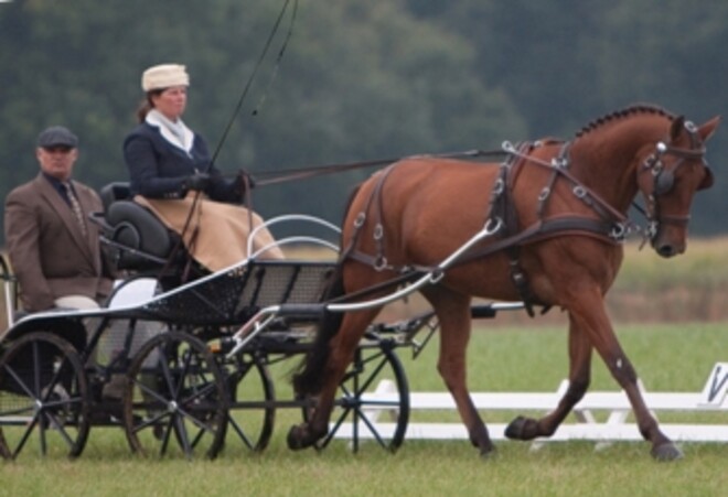 Winnaar MenSport Wisseltrofee Nederland
