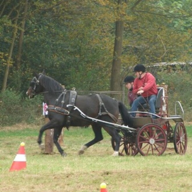 Foto"s Linden Outdoor Derby - Filip De Smet