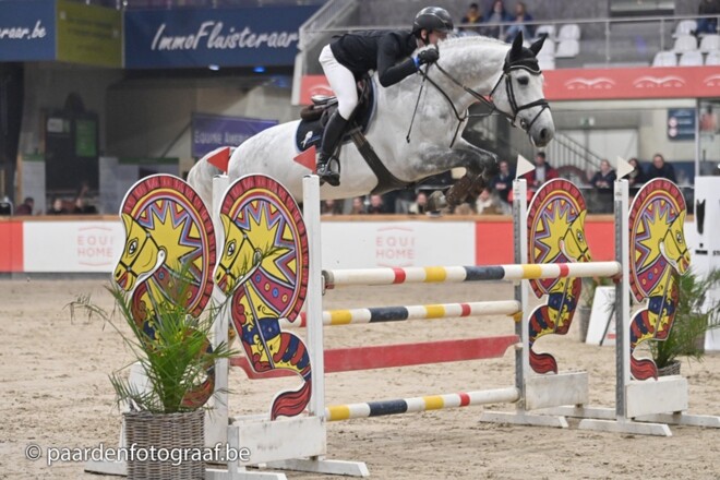 Kwaliteit gemene deler Stallion competition!