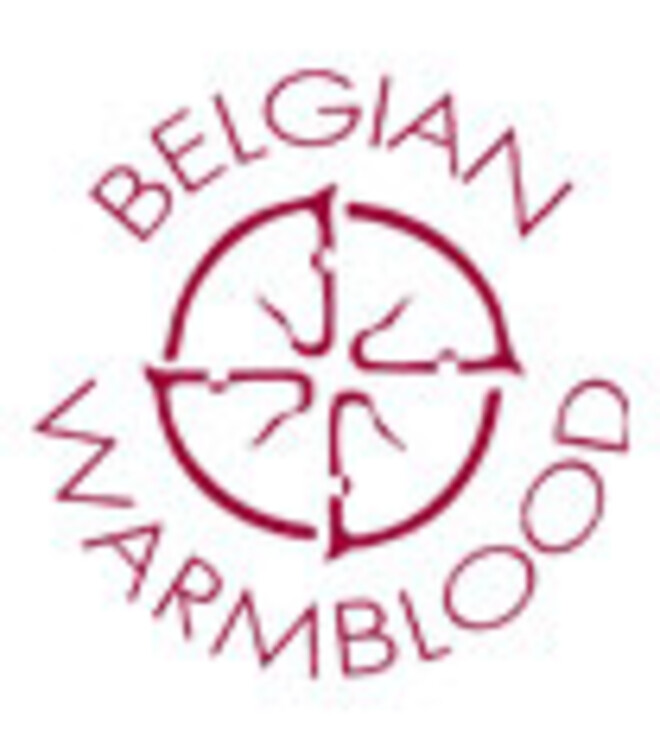 Mis de allereerste BWP Fokkerijdag niet
