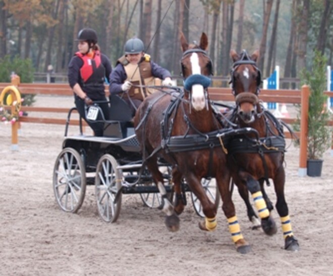Genk Outdoor Derby - 4 november 2012