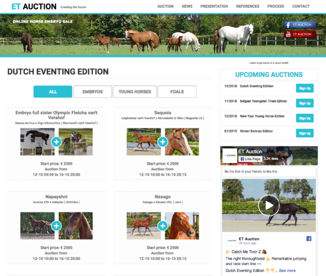 Veiling geopend – Dutch Eventing Edition!