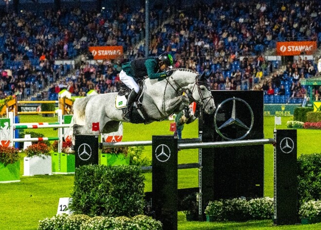 Fokmerrie Cigale veilingtopper Horsedeals!