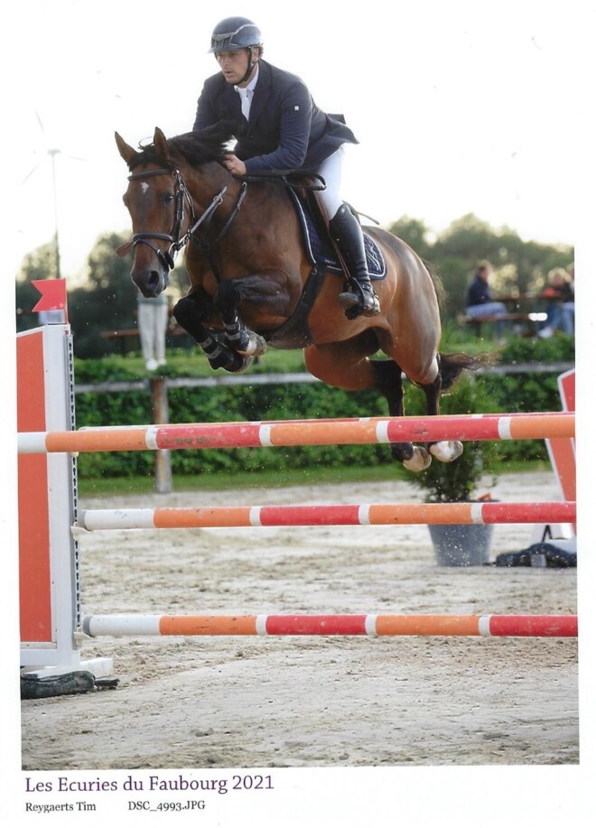 Olympke van ’t Merelsnest naar Stephex!
