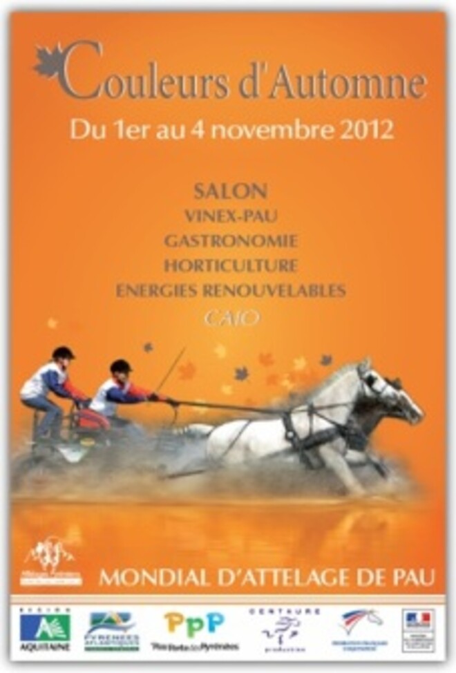 Pau CAI-A en CAIO, 01-04 november