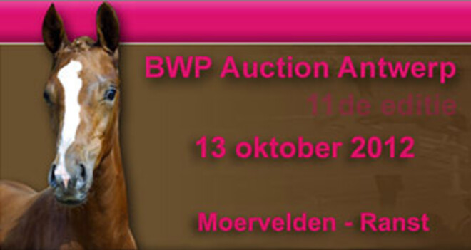 BWP Auction Antwerp nu zaterdag! Startlijsten online.