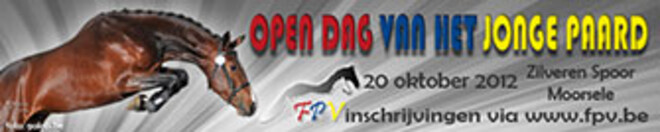 FPV OPEN DAG VAN HET JONGE PAARD