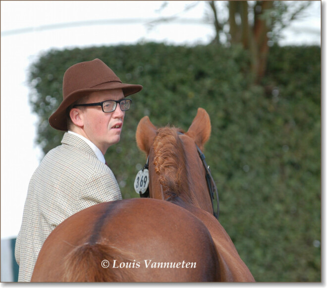 BK 2015, foto's Horse Inspection