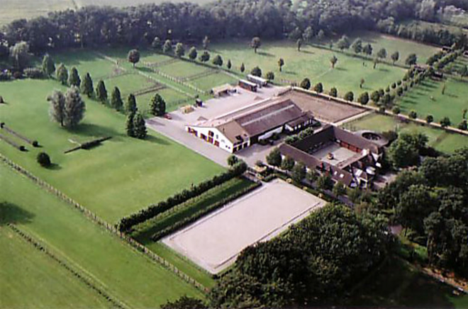 Jewel Court Stud zoekt groom/ruiter!