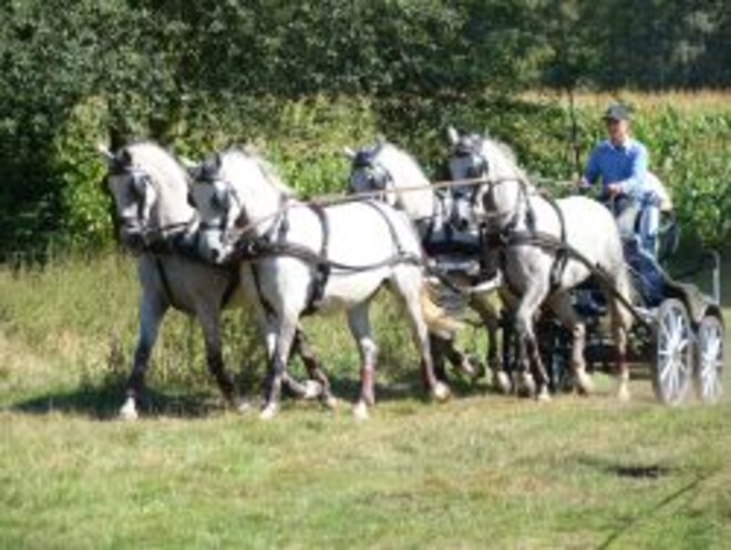 Sven Stuyck en Glenn Geerts naar Paard & Koets