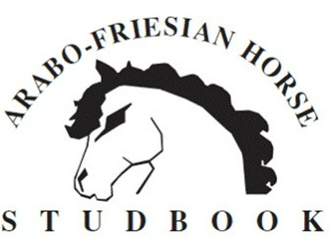 Arabo-Friezen keuring, Jelle's Home - 26/09