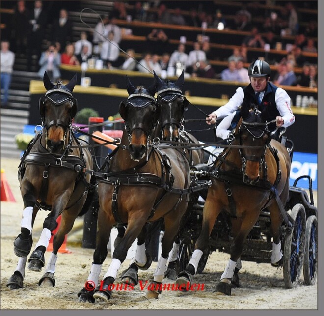 Mechelen: video's warm up