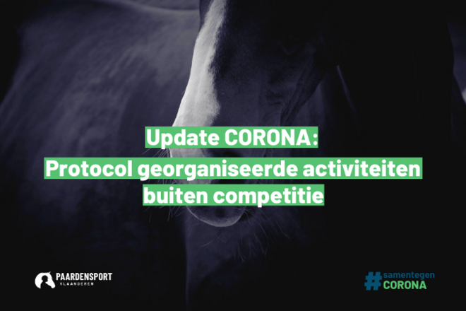 Protocol georganiseerde activiteiten