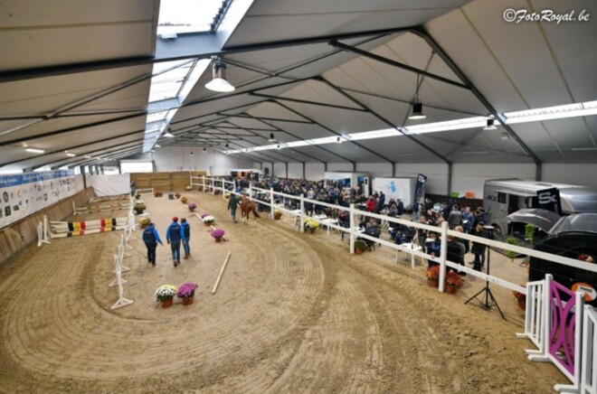 Dit zijn de winnaars vrijspringen in Wambeek