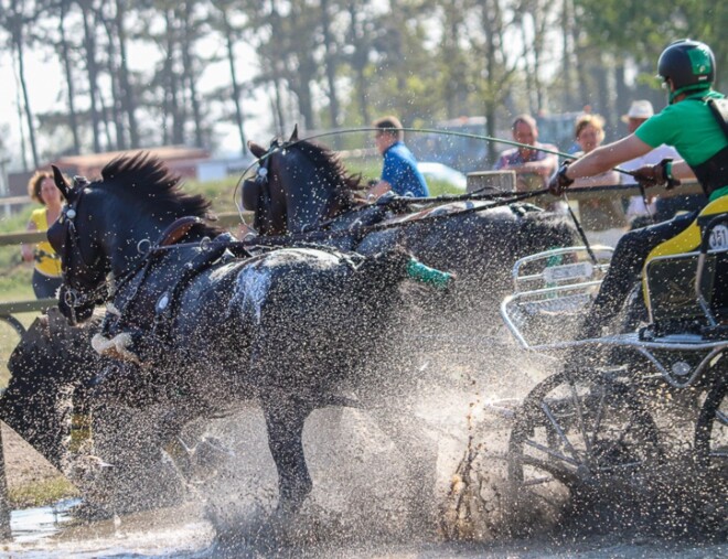 Gezonde basis voor WK H2 Kronenberg
