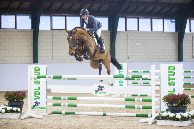 Fantastische WEF Sport Horse Auction!