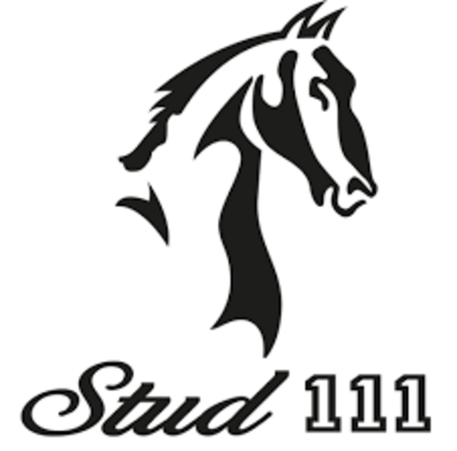 Stud 111 en AS Sporthorses doen zaken in VS!