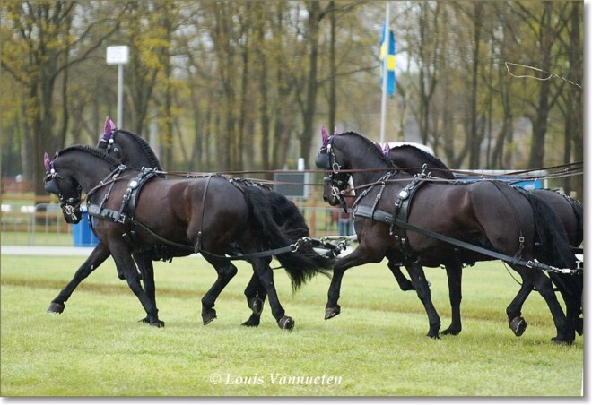 CAI2* Ermelo verhuist naar Exloo