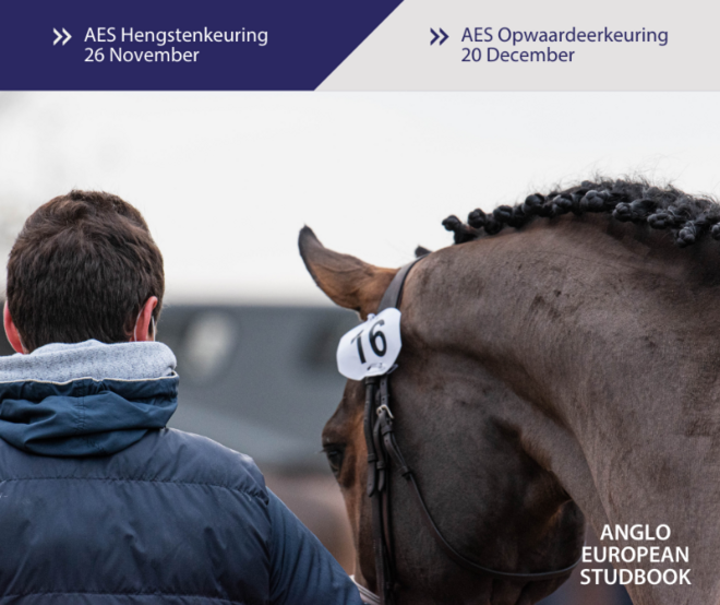 AES Hengstenkeuring komt eraan!