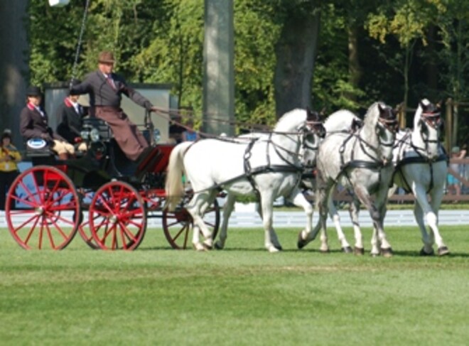 WK Riesenbeck: dressuur Brasseur en Stuyck