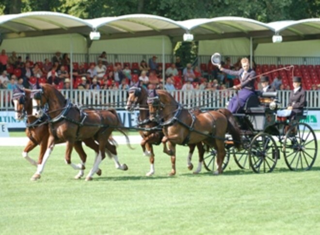 WK Riesenbeck 2012: Schrijvers rijdt proef van zijn leven
