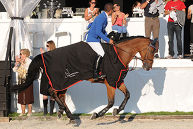 Twee Belgische paarden op podium in Valkenswaard
